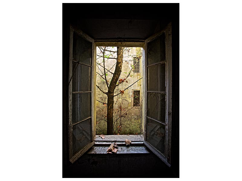 canvas-print-autumn-in-asylum-x