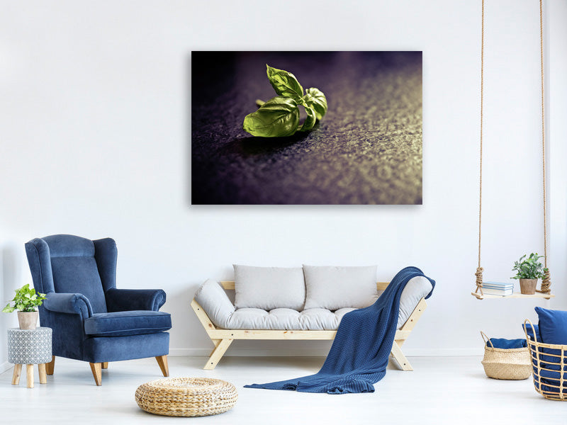 canvas-print-basil-leaves