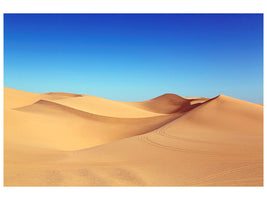 canvas-print-beauty-desert