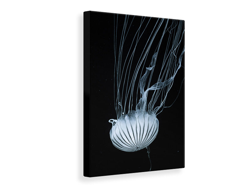 canvas-print-beware-jellyfish