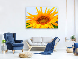 canvas-print-big-sunflower