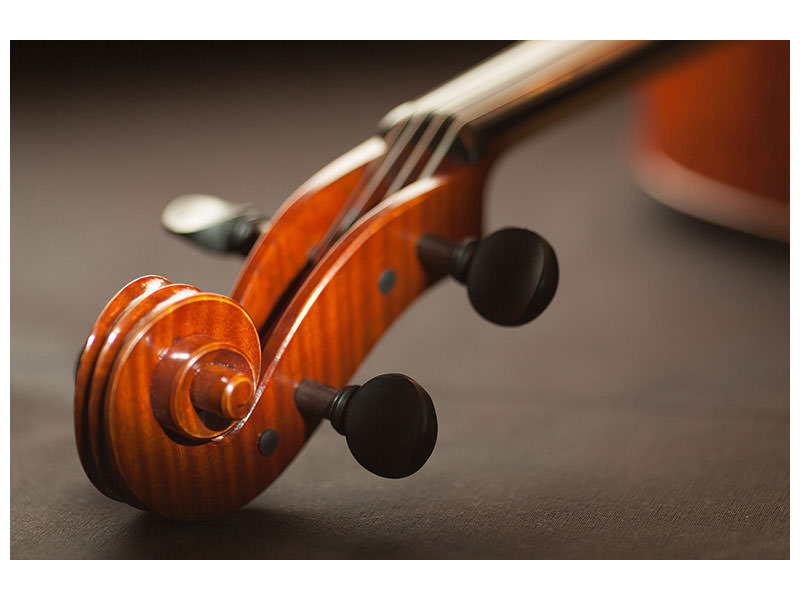 canvas-print-close-up-violin