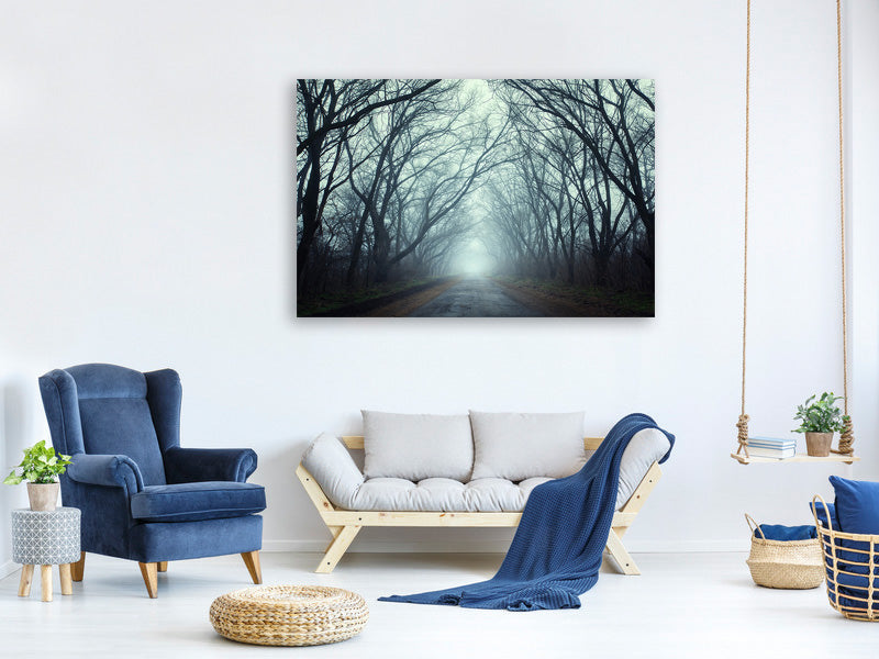 canvas-print-cloud-forest