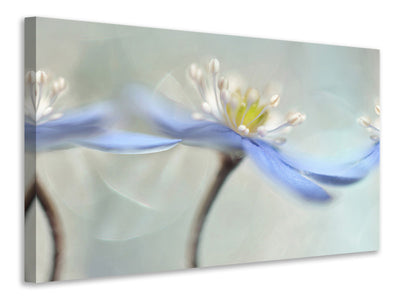 canvas-print-dancing-anemones