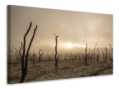 canvas-print-dead-land