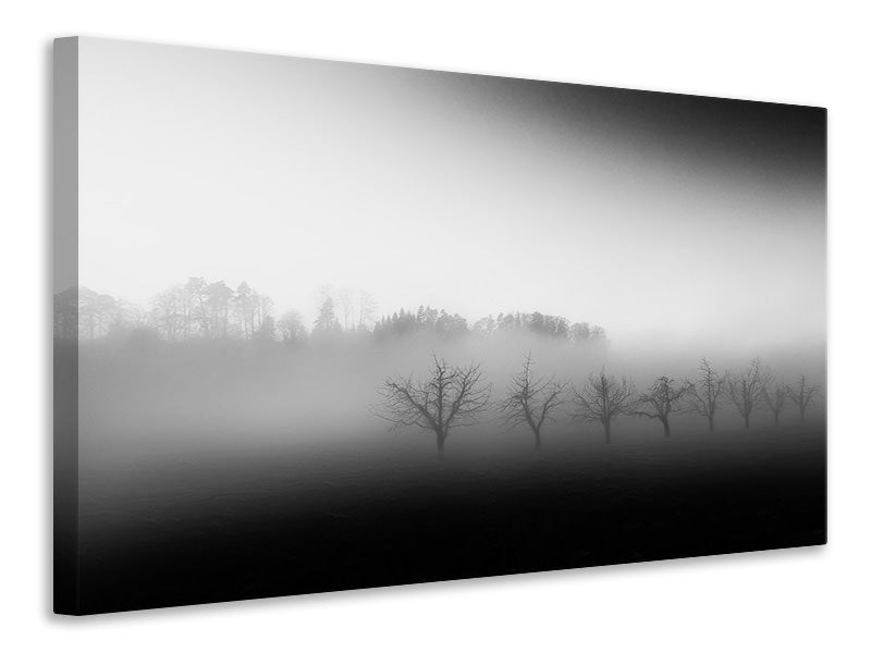 canvas-print-eight-trees-in-the-mist