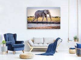 canvas-print-elephant-in-the-nature