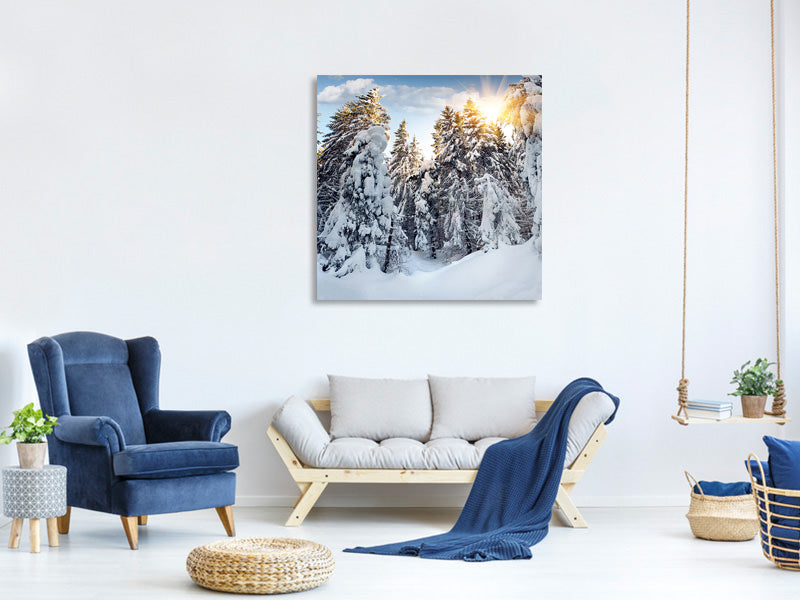 canvas-print-fir-in-snow