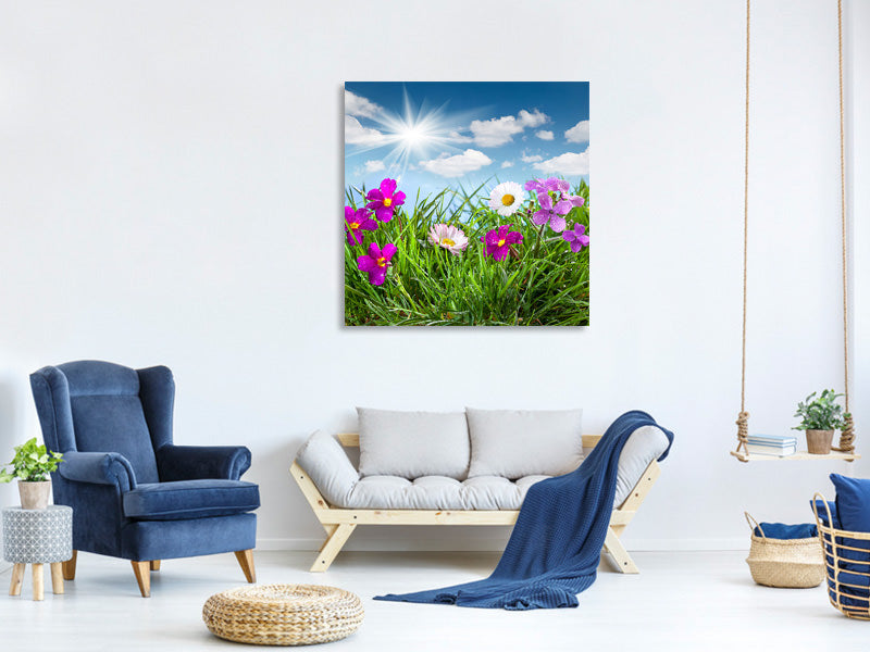 canvas-print-flowering-meadow