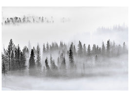 canvas-print-foggy-forest