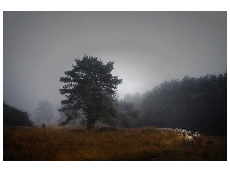 canvas-print-foggy-memory-of-the-past