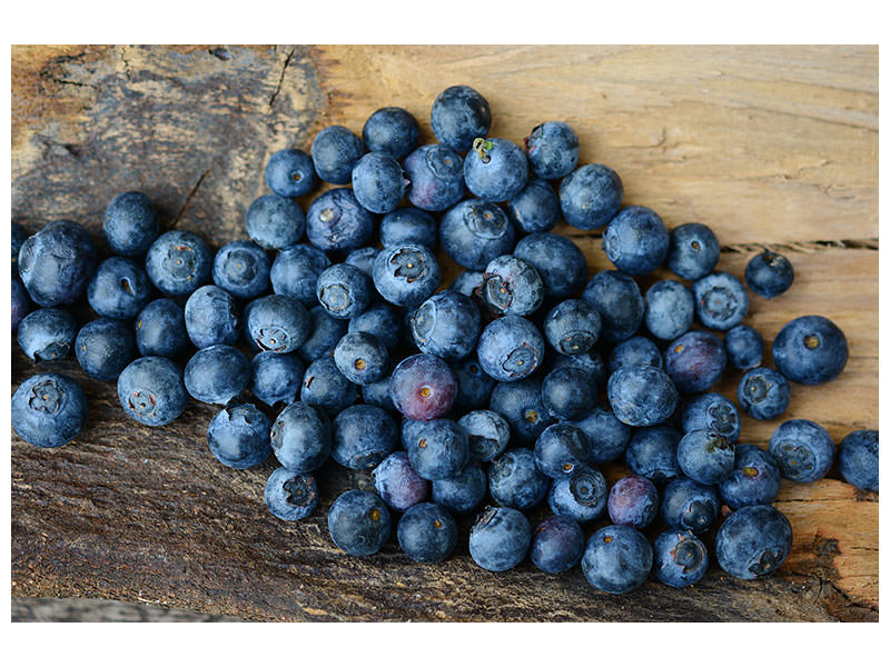 canvas-print-fresh-blueberries