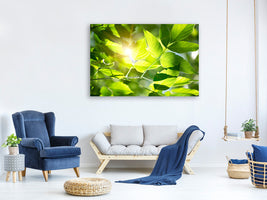 canvas-print-go-green