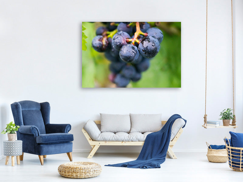 canvas-print-grapes