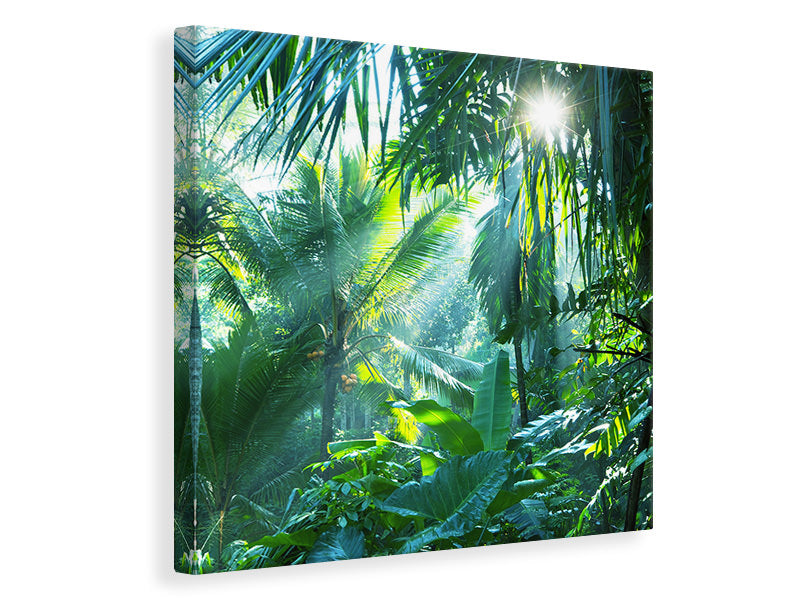 canvas-print-in-tropical-forest