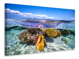 canvas-print-lagoon-life