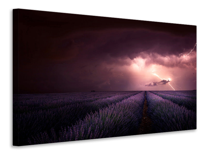 canvas-print-lavender-fragrance