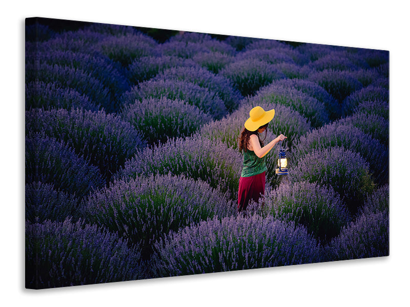 canvas-print-lavender