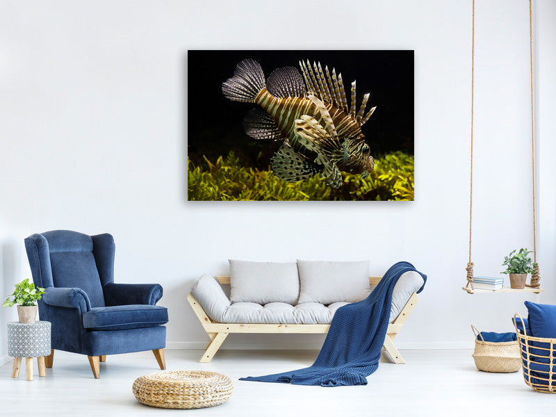canvas-print-lion-fish