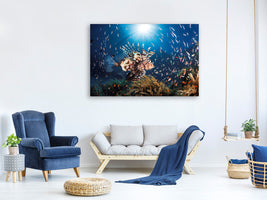 canvas-print-lionfish