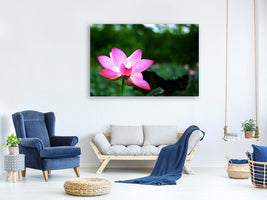 canvas-print-lotus-in-nature