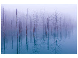 canvas-print-misty-blue-pond