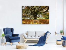 canvas-print-my-favorite-tree