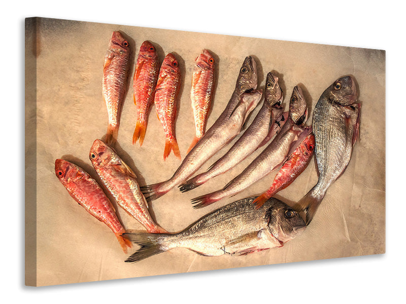 canvas-print-raw-fish-ii