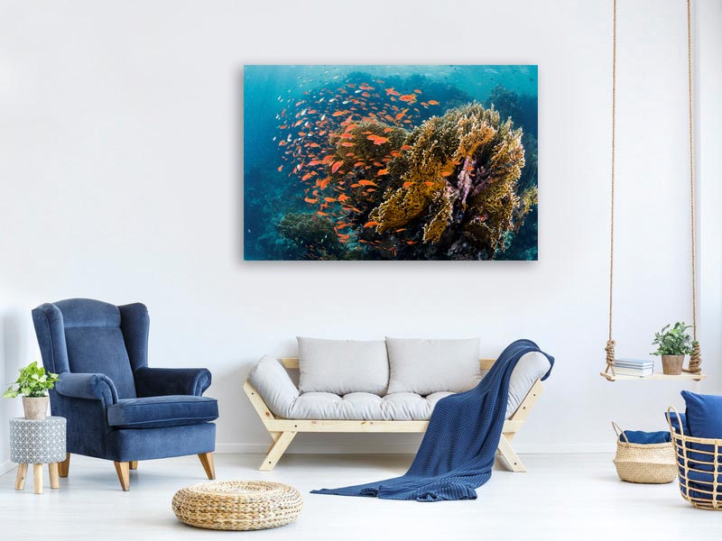 canvas-print-reefscape-x