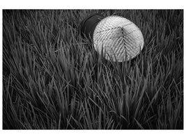 canvas-print-rice-fields-in-bw