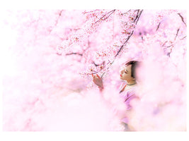 canvas-print-sakura