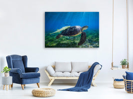 canvas-print-sea-turtle