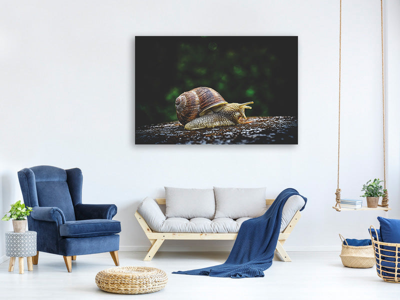 canvas-print-snail-xxl