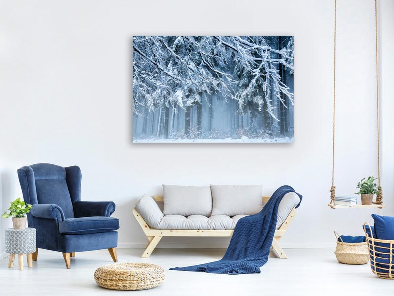 canvas-print-snowworld-x