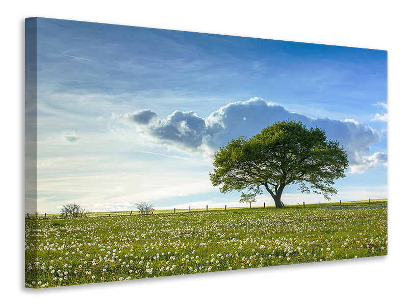 canvas-print-spring-tree