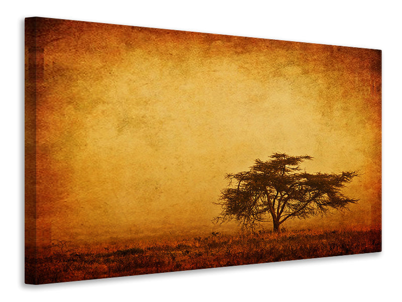 canvas-print-sunset-mood