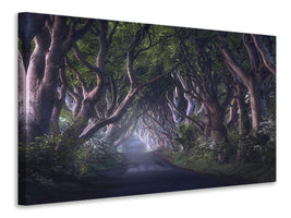 canvas-print-the-dark-hedges