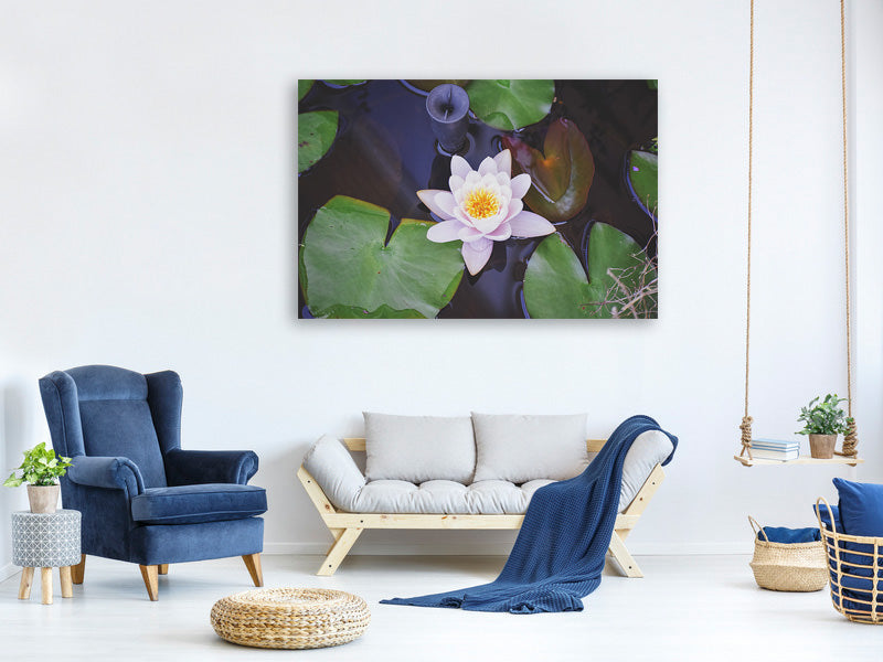 canvas-print-the-lily-pad-in-white