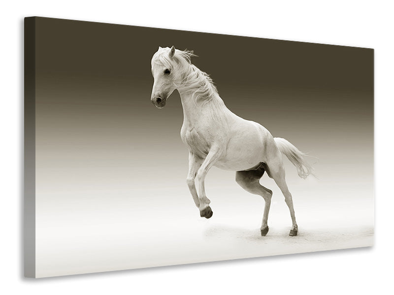 canvas-print-the-proud-mare