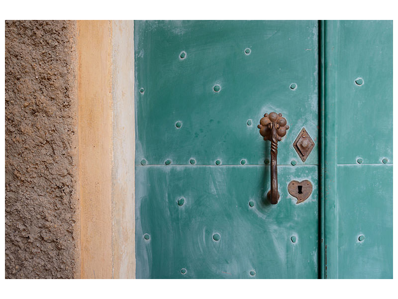 canvas-print-the-special-door