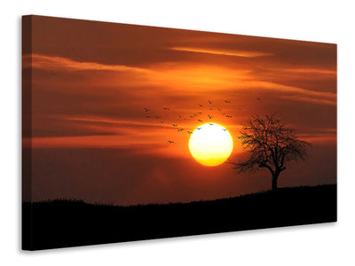 canvas-print-the-sunset-on-the-horizon