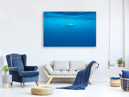 canvas-print-the-whale-shark