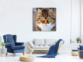 canvas-print-tiger-cat