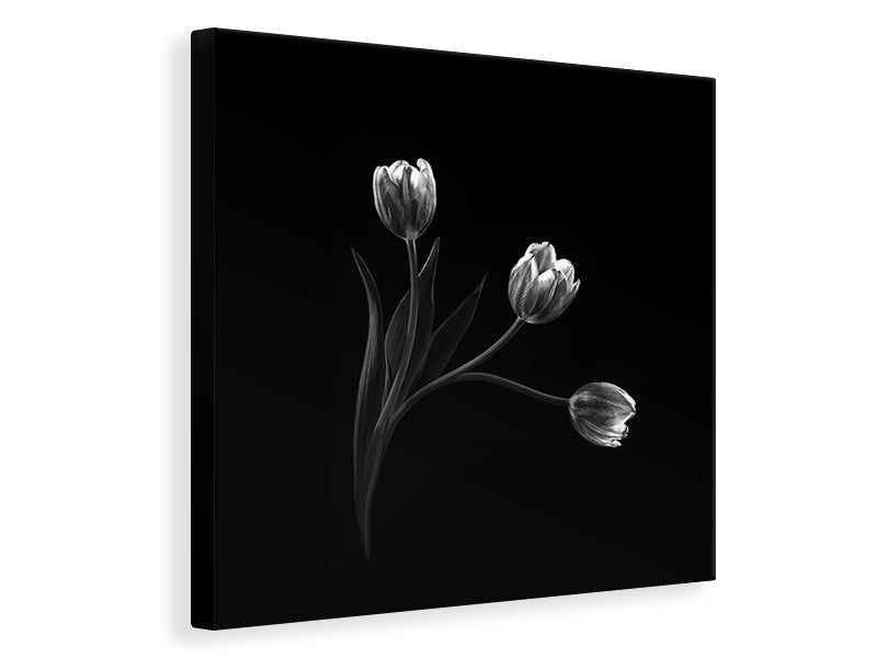 canvas-print-trio