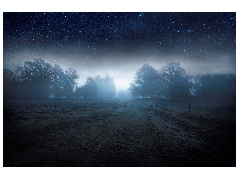 canvas-print-visions-of-the-night-x