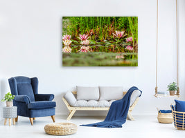 canvas-print-wild-water-lilies