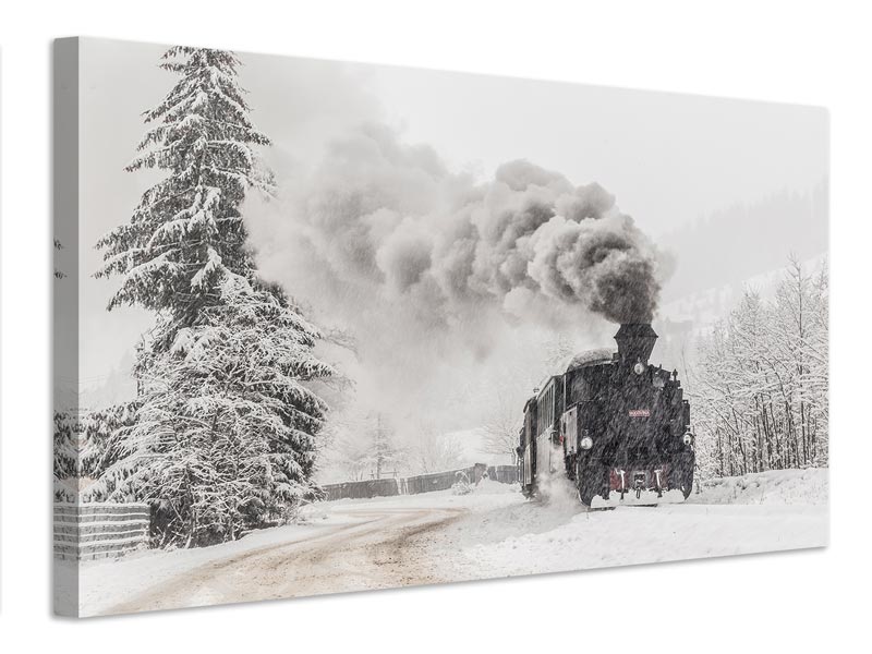 canvas-print-winter-story-x