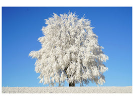 canvas-print-winter-tree