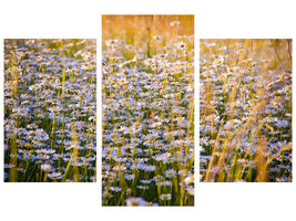 modern-3-piece-canvas-print-a-field-full-of-camomile