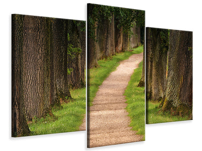 modern-3-piece-canvas-print-a-path-in-the-forest